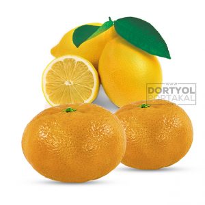 Mandalina ve Limon 10 Kg