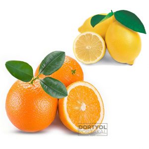 Valencia Portakal – Limon 10 Kg